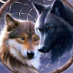 Meet your Posher, Alia